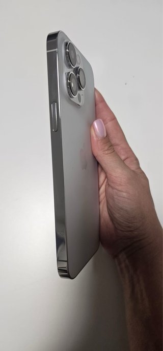 iPhone 14 Pro Max 256GB Plata