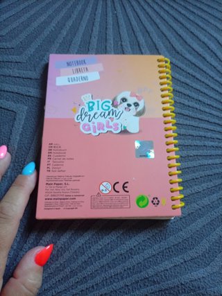 Girls dream notebook small