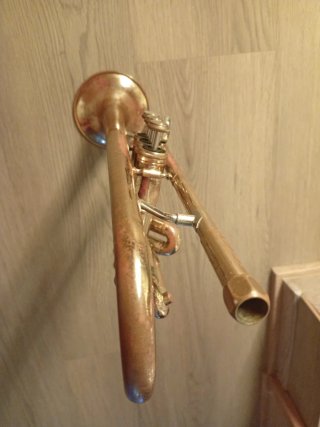 Trompeta Olds Ambassador