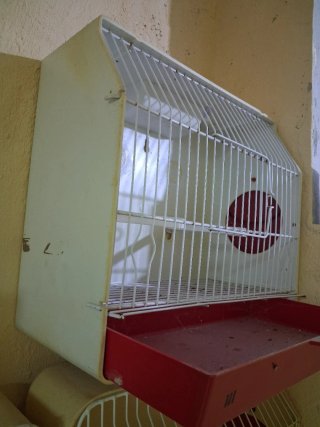 Gabbia per uccelli Pedros