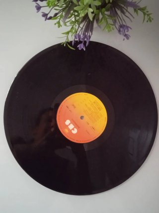 Vinilo Súper Disco Años 70