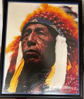 Cuadro Indio Nativo Americano