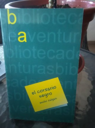 El corsario negro