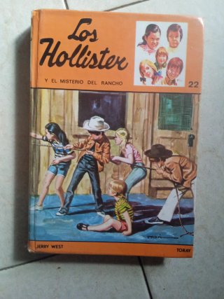 LOTE Los Hollister 15,17,19,22