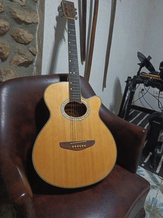 Guitarra Electroacústica rochester sgs2043 ce-a.