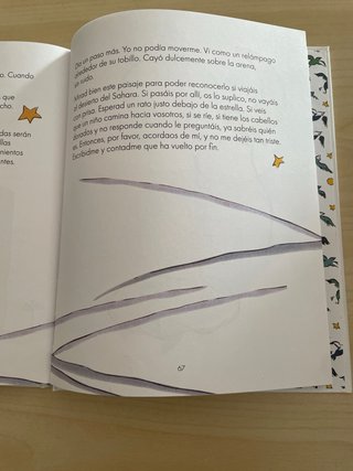 Descubrir El Principito