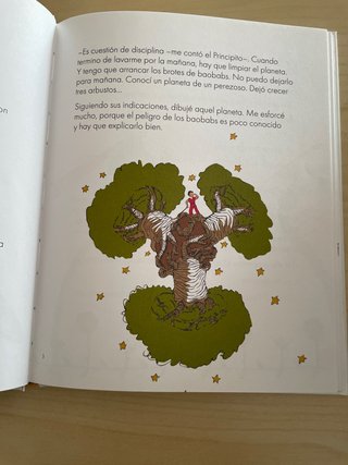 Descubrir El Principito