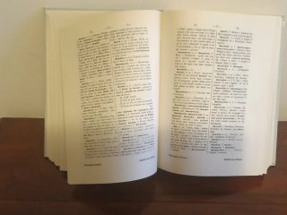 Vocabolario di friulano