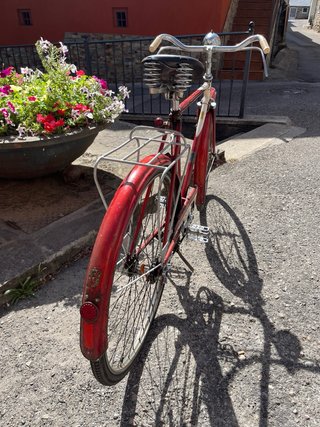 Bicicleta de Varillas Especial BH