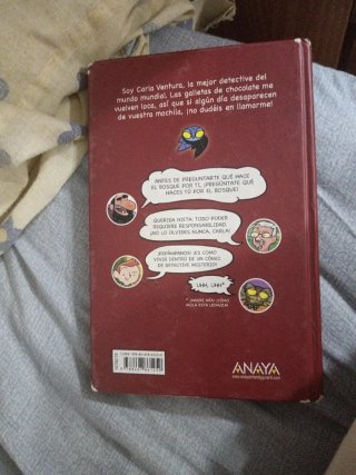 Colección libros lechuza detective