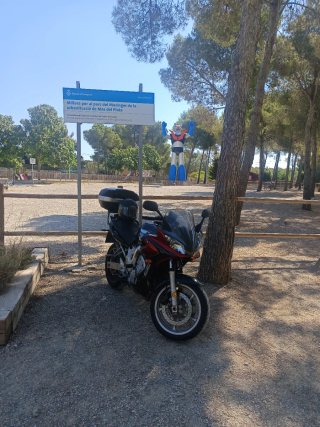 Yamaha FZ6-S carenada