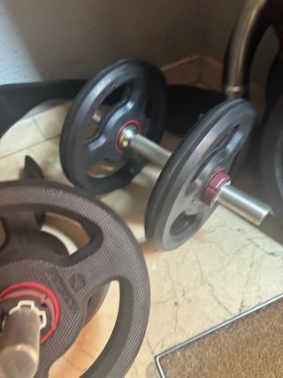 Pesas barra Z y discos gimnasio