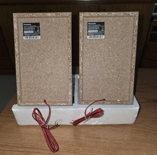 Altavoces Panasonic Negros Nuevos
