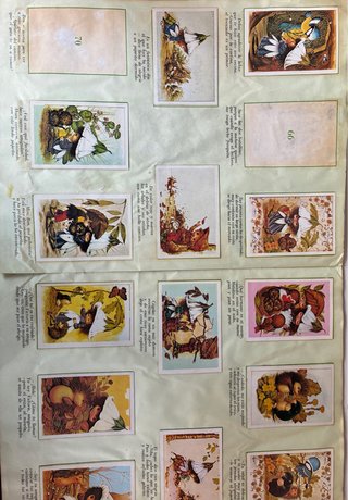 Álbum de cromos Victoria Plum