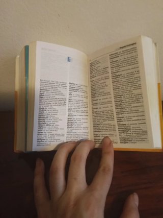 Dizionario tascabile spanolo-italiano