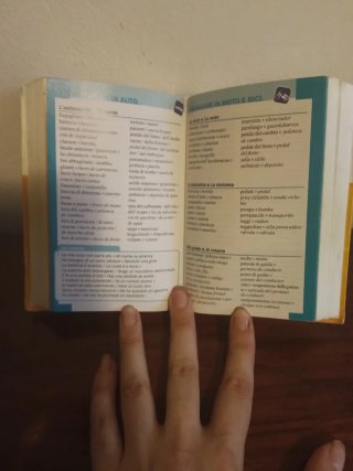 Dizionario tascabile spanolo-italiano