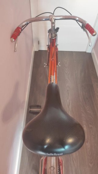 Bicicleta de paseo vintage