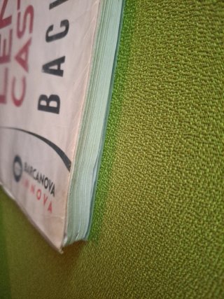 OFERTA Beatriz Bernal Bachillerato. Lengua castell
