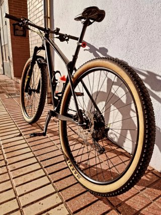 Focus Raven 8.9 Carbono