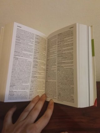 Dizionario francese tascabile
