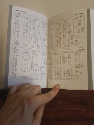 Dizionario francese tascabile