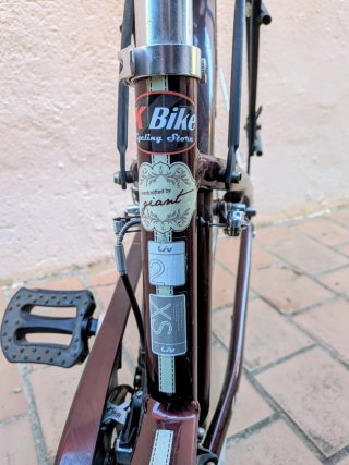 Bicicleta Urbana Giant Liv Flourish 2 Talla XS