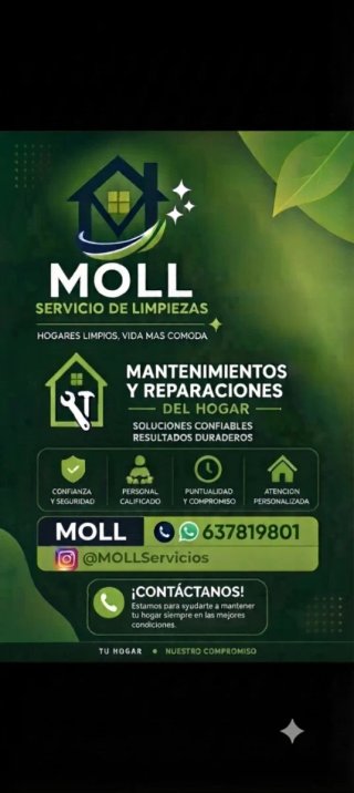 Limpieza,reparación y mantenimiento del hogar.