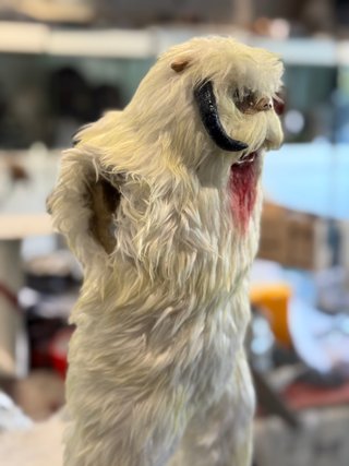 Wampa 1/6 Star Wars Inbox Studios