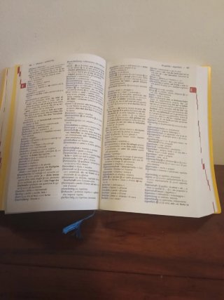 Dizionario tedesco