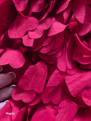 Vestido Felipe Varela Rojo con Flores