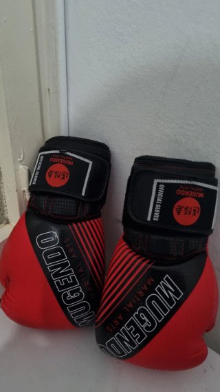 Guantes de Boxeo Mugendo Artes Marciales