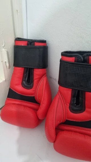 Guantes de Boxeo Mugendo Artes Marciales