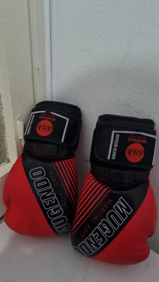 Guantes de Boxeo Mugendo Artes Marciales