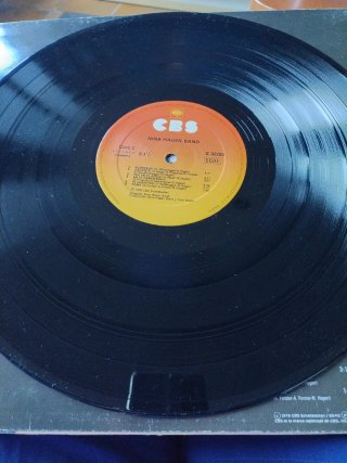 LP Nina Hagen Band