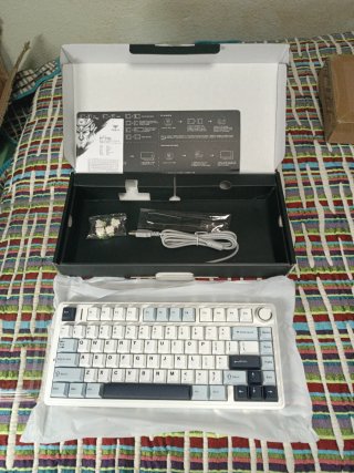 Teclado Aula F75 Wind