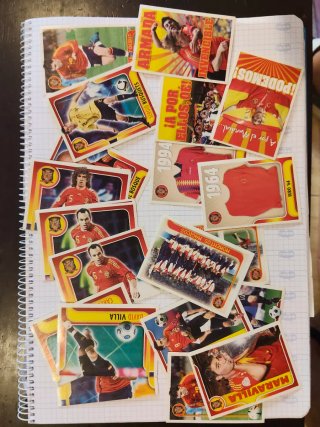 Cromos Panini España 2009 A Por Ellos Selección Es