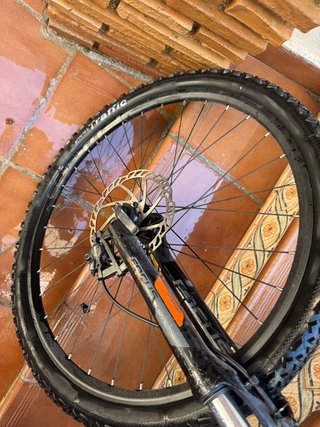 Bicicleta MTB Focus Whistler 29