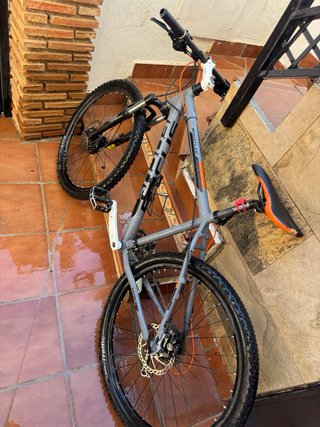 Bicicleta MTB Focus Whistler 29