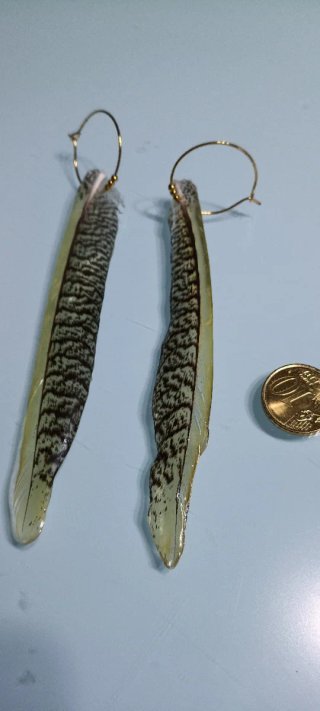Pendientes plumas naturales ninfa