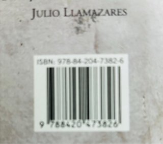 Las rosas de piedra (Spanish Edition)