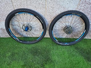 Ruedas Bontrager Mustang 29 TLR