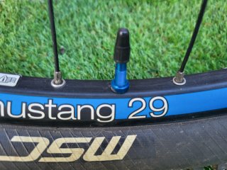 Ruedas Bontrager Mustang 29 TLR