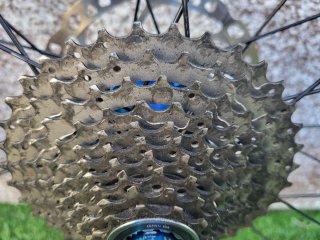 Ruedas Bontrager Mustang 29 TLR