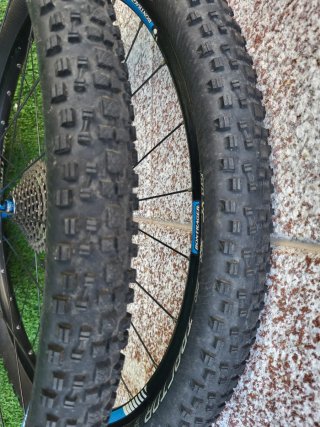 Ruedas Bontrager Mustang 29 TLR