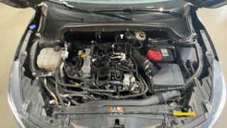 Ford FOCUS FAMILIAR 1.0 Ecoboost MHEV 114kW Active X Auto (2024)