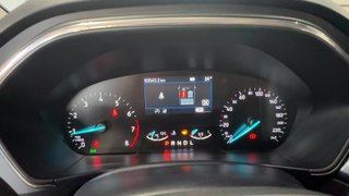 Ford FOCUS FAMILIAR 1.0 Ecoboost MHEV 114kW Active X Auto (2024)