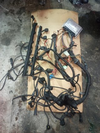 Cableado M54B30