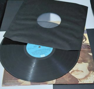 The Beatles Por Siempre Vinilo