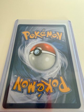 Primer compañero tcg