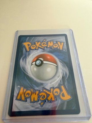 Primer compañero tcg